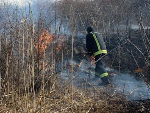Pompierii au intervenit la stingerea a 21 incendii de vegetație