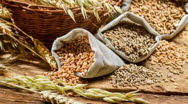 Republica Moldova ocupă locul doi la importul de cereale din Ucraina