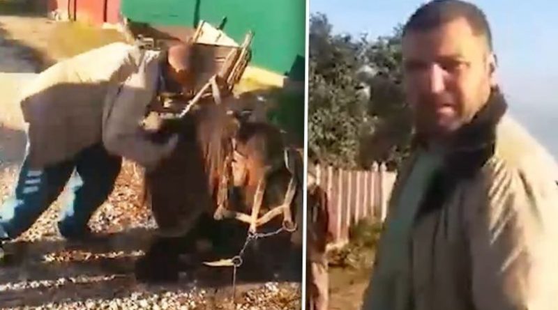 /VIDEO/ Imagini revoltătoare. Un bărbat din raionul Râșcani a fost filmat în timp ce își bate propriul cal care zace la pământ