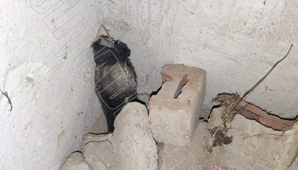 O sticlă cu mercur a fost găsită într-un bloc abandonat din apropierea unei stații de epurare a apei din raionul Briceni