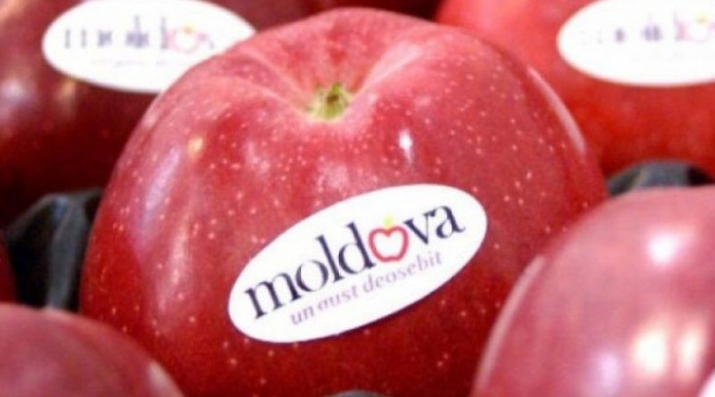 Reacția ANSA, după ce un lot de peste 20 tone de mere din Moldova a fost interzis pentru import în Federația Rusă