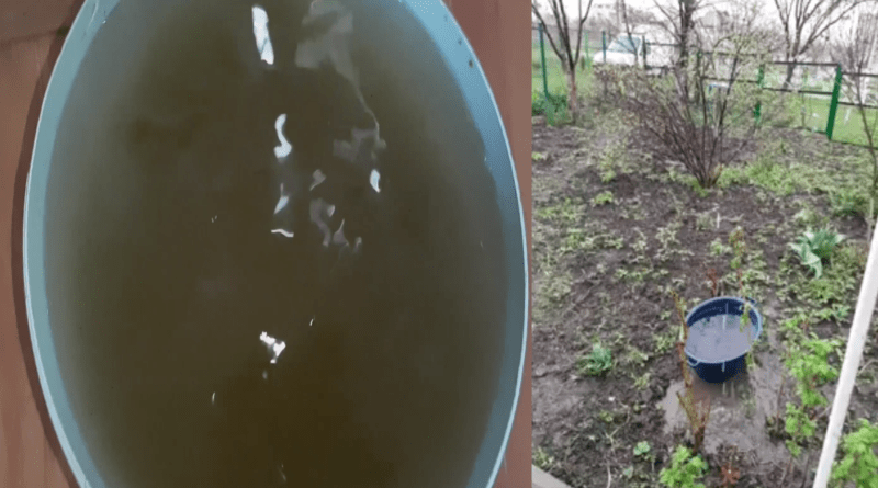 Apă plină cu impurități într-un sector din municipiul Bălți. Unii localnici strâng apa de ploaie pentru treburile casnice