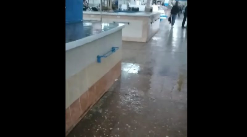 /VIDEO/ În pavilionul pieței centrale din municipiul Bălți a plouat ca afară