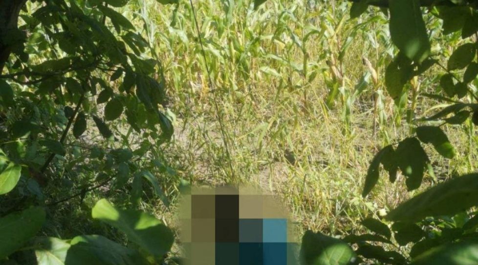 Un bărbat din raionul Sîngerei a fost găsit strangulat pe un câmp agricol