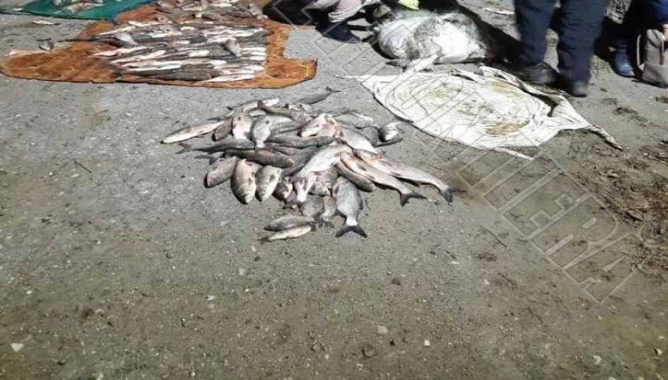 /VIDEO/ Doi bărbați din raionul Cahul au fost amendați pentru că au pescuit ilegal 100 de kilograme de pește în zona de frontieră