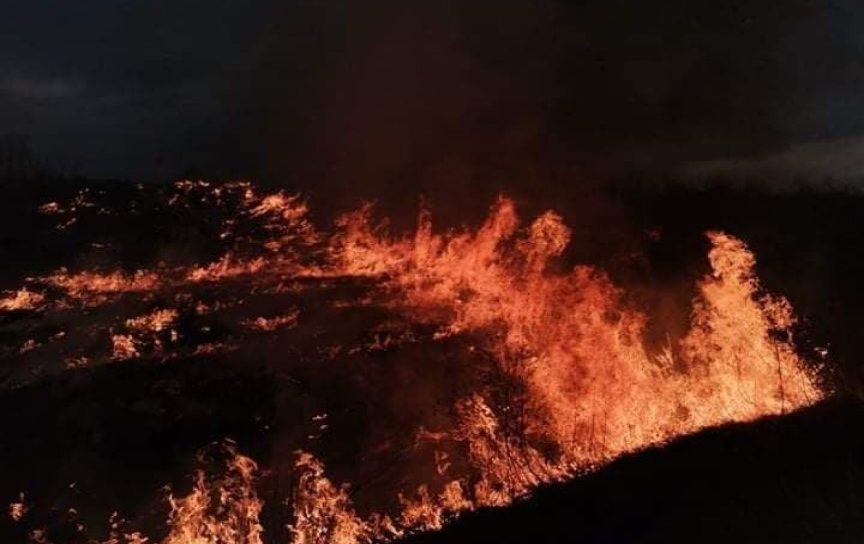 /FOTO/ Incendii în raioanele Briceni, Ocnița, Sîngerei și Soroca. Au ars peste 260 de hectare cu vegetație uscată