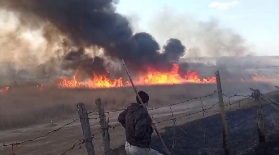 /VIDEO/ Incendiu de vegetație devastator în raionul Glodeni. Au ars peste 60 de hectare cu stufăriș