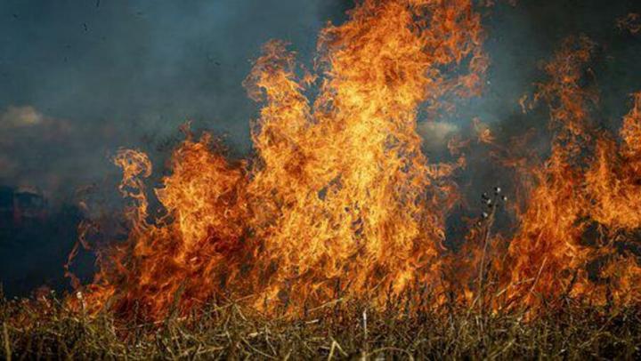 В Молдове введен желтый уровень метеоопасности из-за риска возникновения пожаров