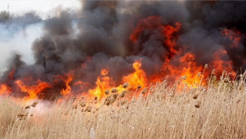 Alertă meteo: Cod Galben de pericol excepțional de incendiu pe întreg teritoriul țării